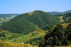 Jarmuta
